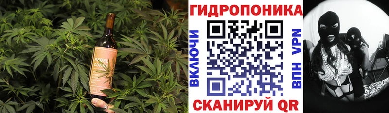 Cannafood конопля  Новое Девяткино 