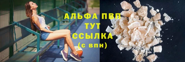 apvp Магадан