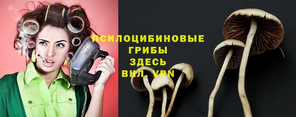 mdpv Магас