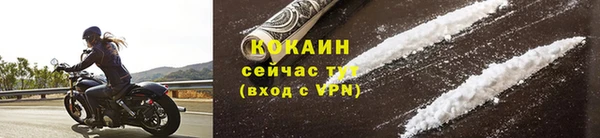 стаф Майский
