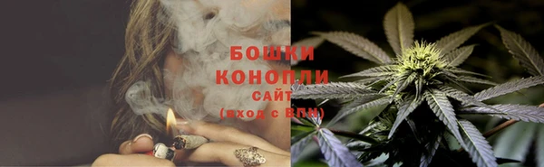 стаф Майский