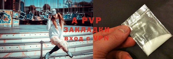 стаф Майский
